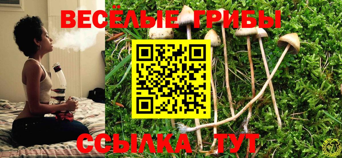 Удомля  Галлюциногенные грибы ЛСД  Вход с VPN 